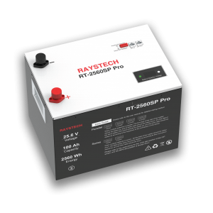 Raystech 24V 100ah LifePO4 Battery
